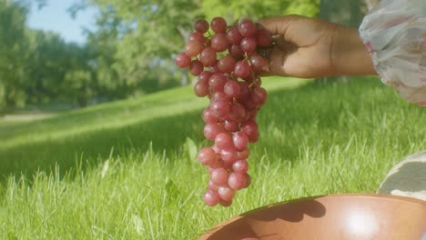 grapes in hand at the park on a sunny summer day