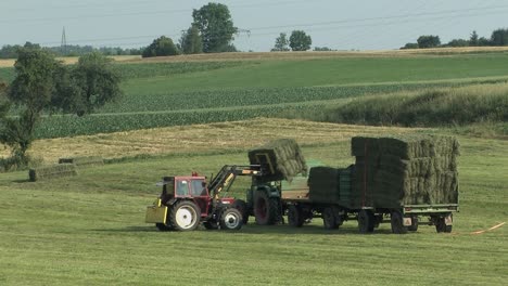 cosecha de heno cerca de neuburg an der donau con tractor cargando pacas de heno, baviera, alemania