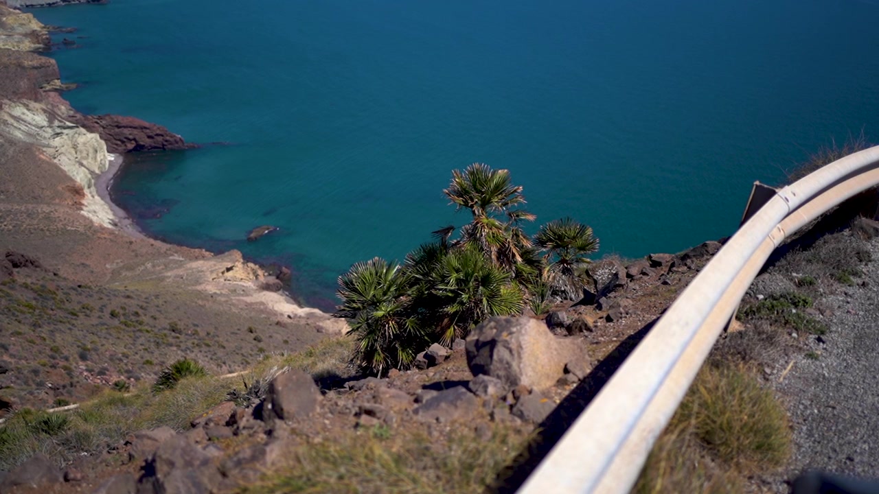 Vista sull'oceano dalla scogliera con palme, paesaggio sereno e acqua di un blu intenso.