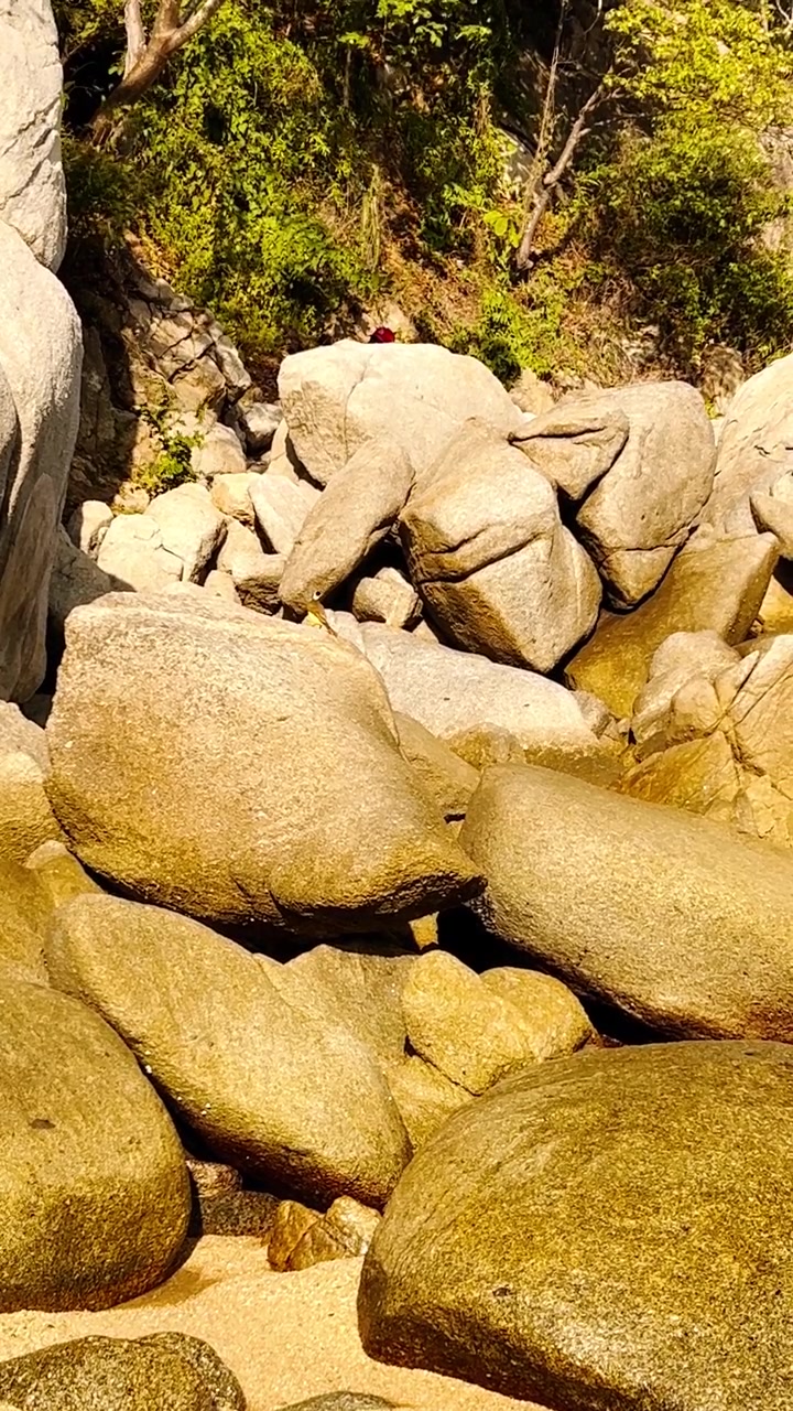 Grandi rocce di granito arrotondate che formano un paesaggio naturale aspro con un piccolo ruscello che scorre tra le pietre, circondato da fitta vegetazione verde e alberi