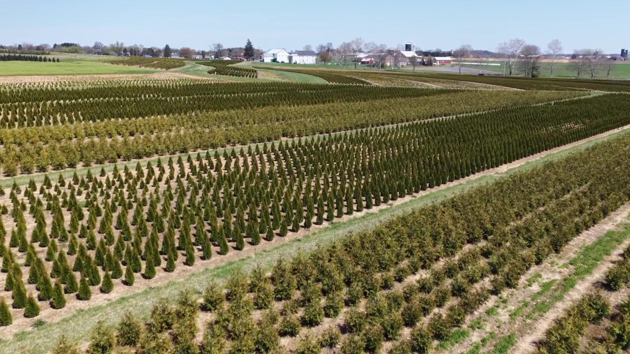 Vol de drone aérien au-dessus de champs agricoles en Pennsylvanie, États-Unis, montrant des rangées de cultures soigneusement plantées et un paysage de terres agricoles rurales sous un ciel clair au printemps. Plan large
