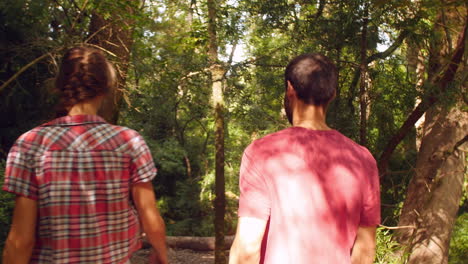 following a couple walking through green forest in summer