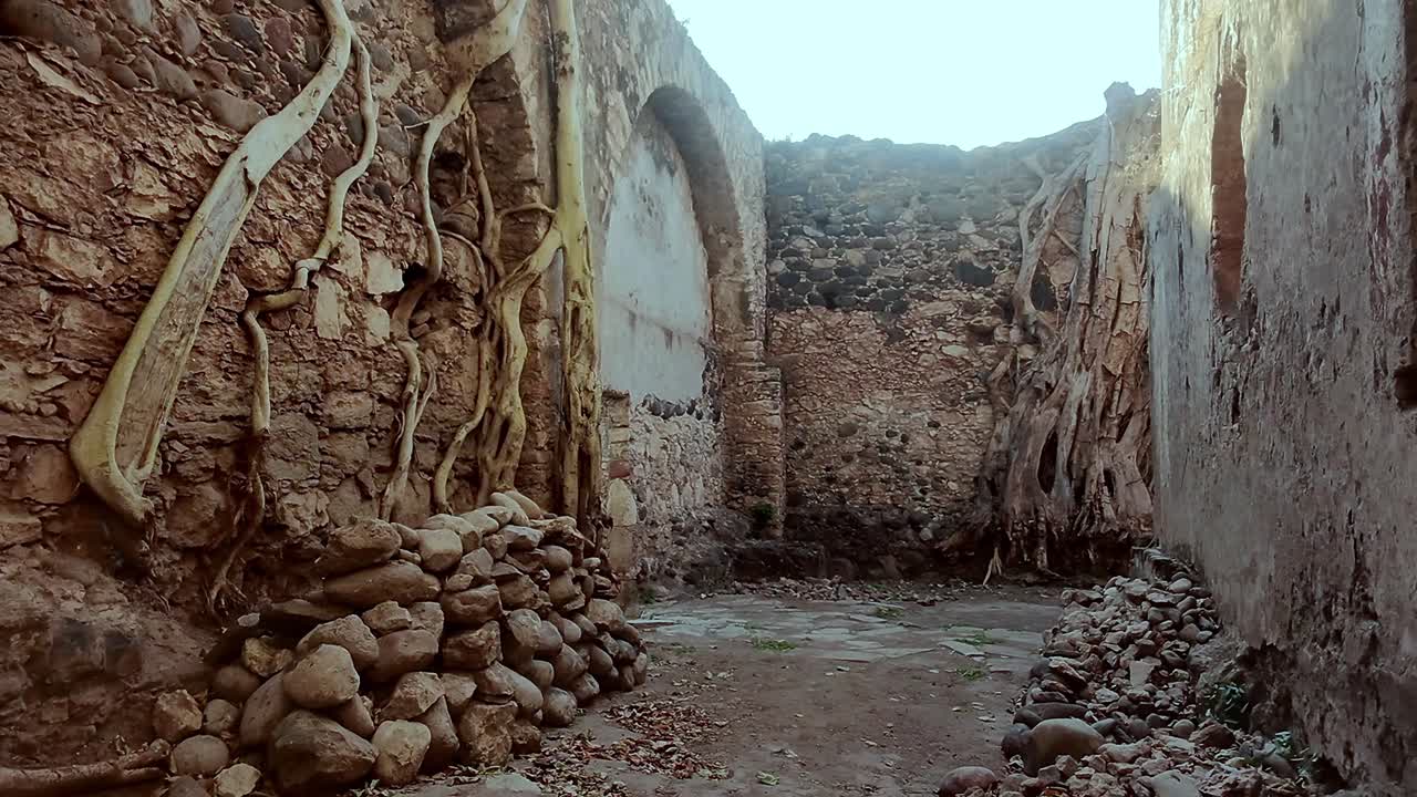 Ancient stone corridor overtaken by twisting tree roots, Ixtoluca estate, Mexico
