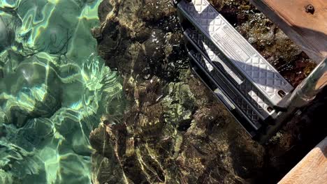 clear water, ladder into the sea