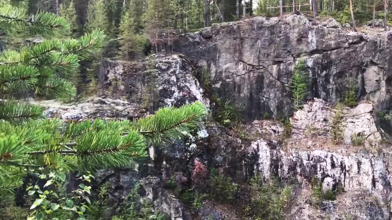 A rocky cliff face with trees and vegetation