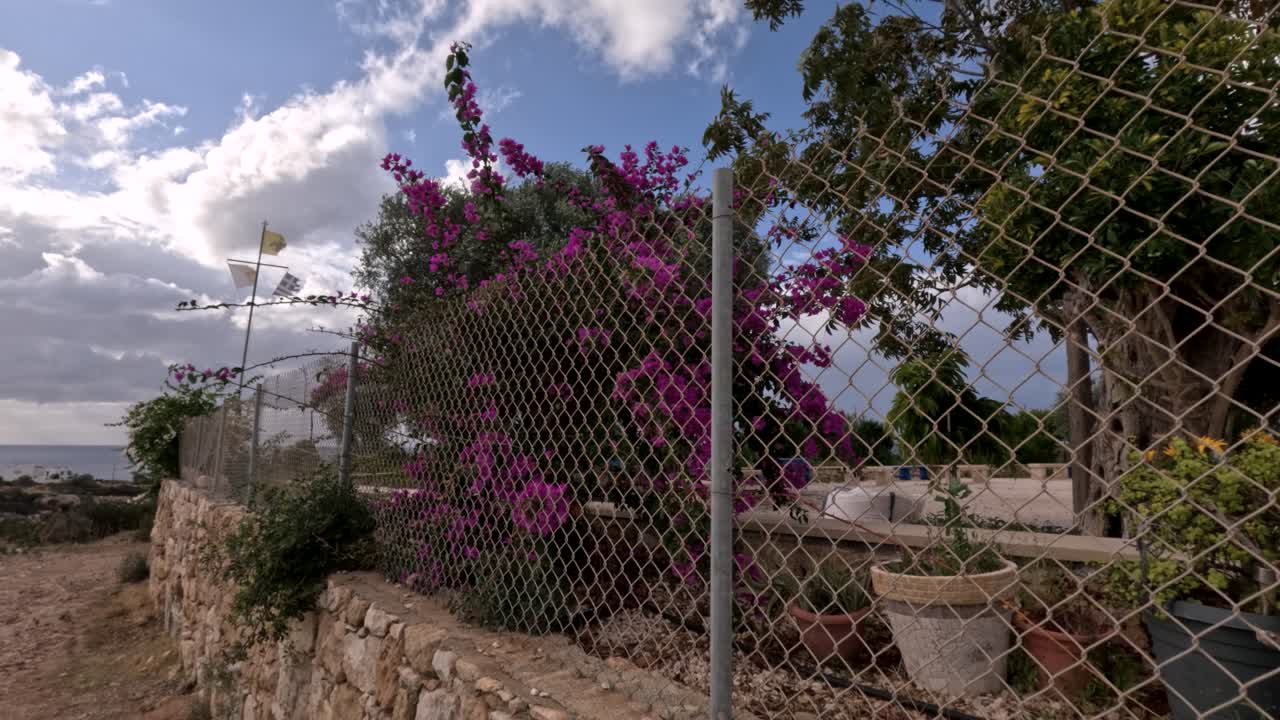 Si vede un giardino con fiori vivaci dietro una recinzione. La costa è visibile sullo sfondo con nuvole nel cielo, che mettono in risalto la natura e lo spazio esterno.