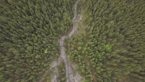 a dry river canyon through the woods