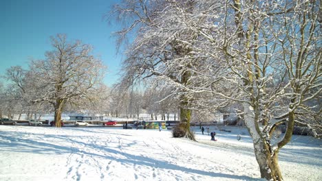 people and kids enjoying the white snow while on the branches of a tree the snow is melting due to the sunlight on a bright day