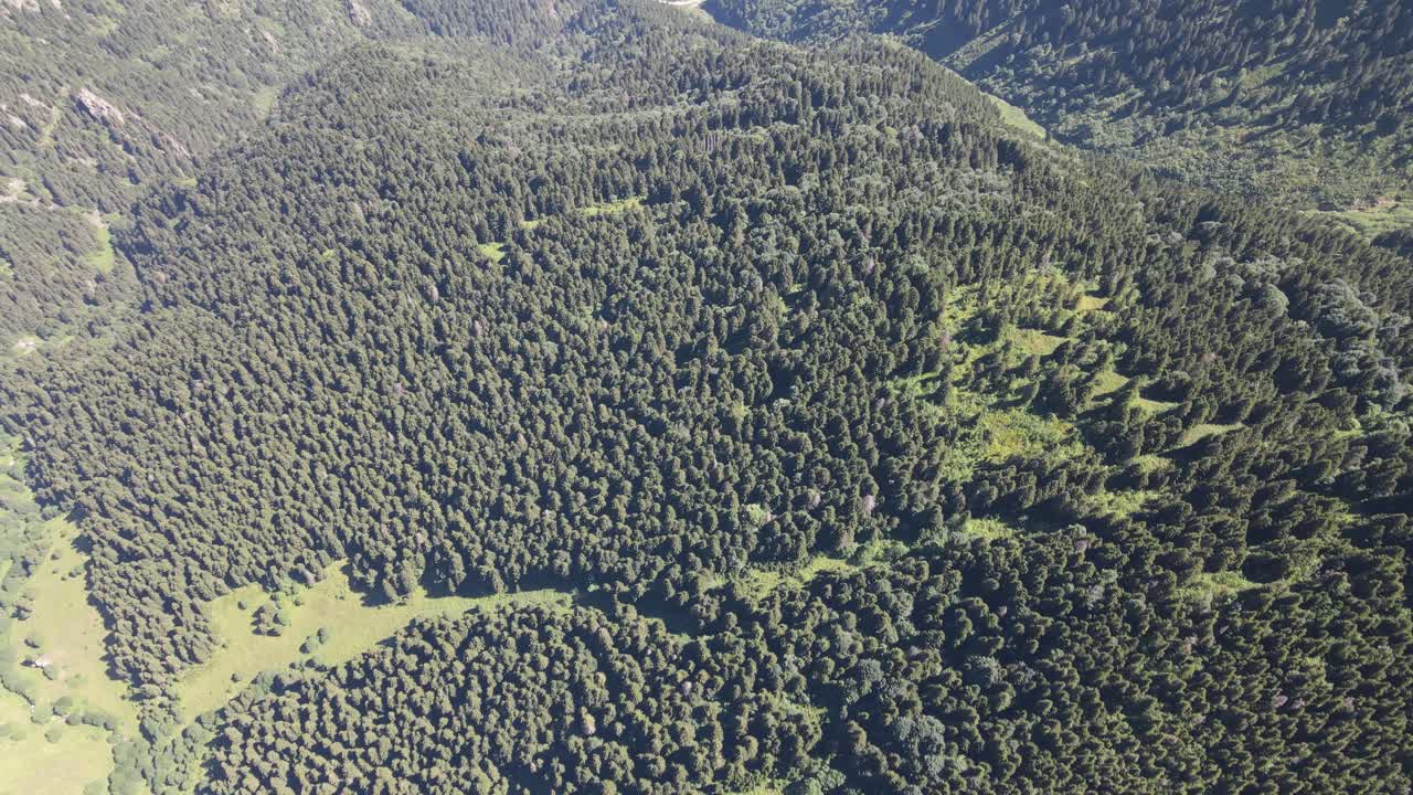 vista de aviones no tripulados de montañas cubiertas de bosque, paisaje de naturaleza verde