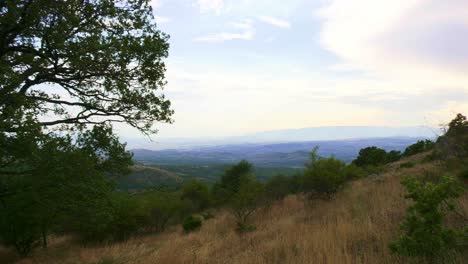 wide panning shot of natural landscape