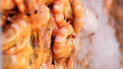 camarones frescos en hielo