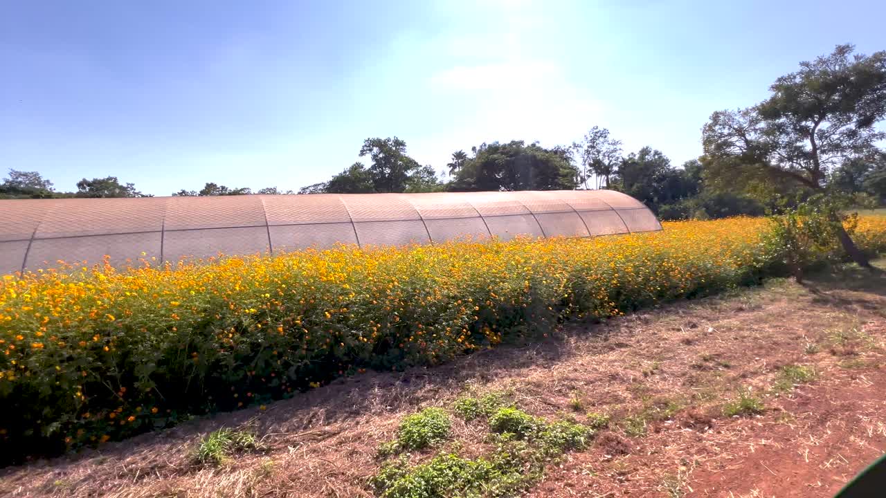 활기찬 꽃에서 경치 좋은 트램 투어