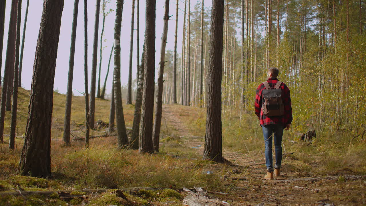 Rejsekoncept: Friluftsaktiviteter i naturen. Mand set bagfra, der går på en markvej i en nationalpark. En turist i 30'erne er på eventyrlig vandretur i et naturskønt landskab. Højkvalitets 4k-optagelser.
