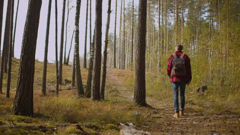 outdoor activities travel concept man in nature. back view of walking person on field road in national park. one 30s tourist walks on an adventure trip in natural landscape in hike on a environment. high quality 4k footage