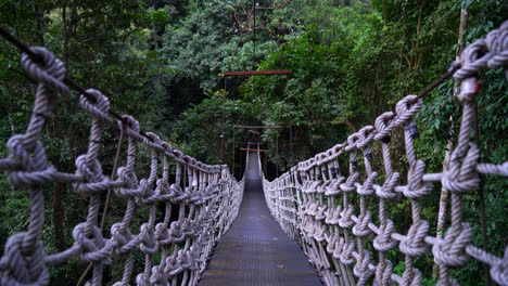 sky walk in the jungle at chiang mai, thailand