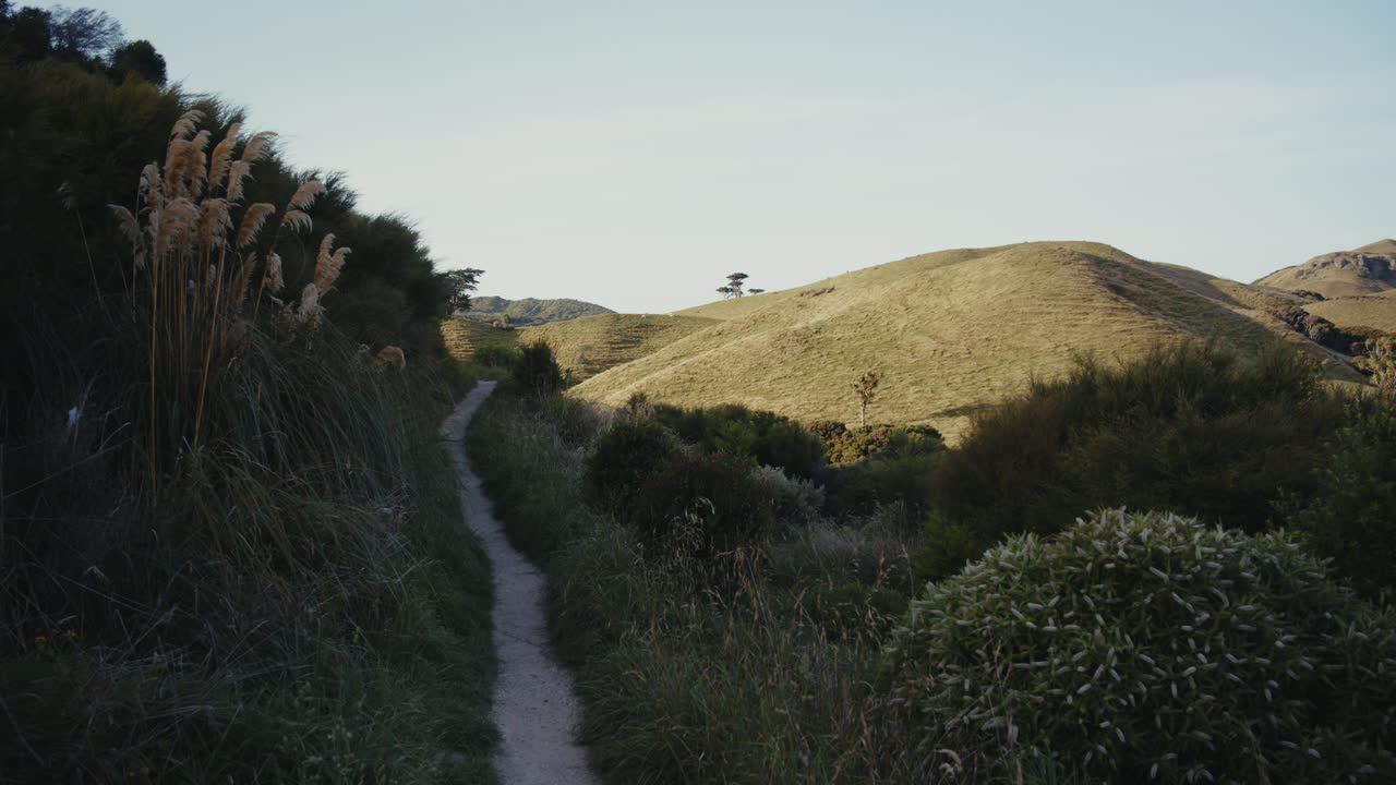 Scenic Hiking Trail Through Lush Hills