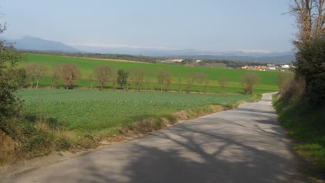 beautiful green field just sown with blue sky and trees in the background and mountains