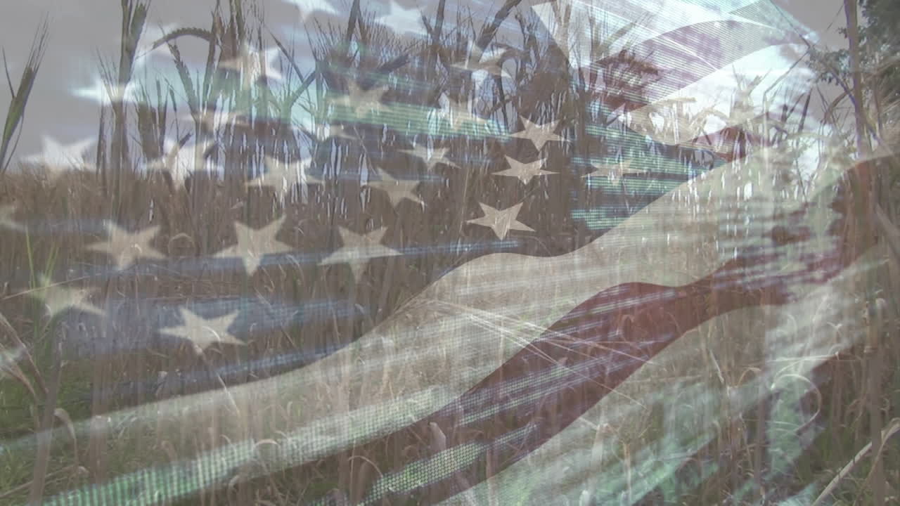 Digital composition of waving american flag against close up of crops in farm field