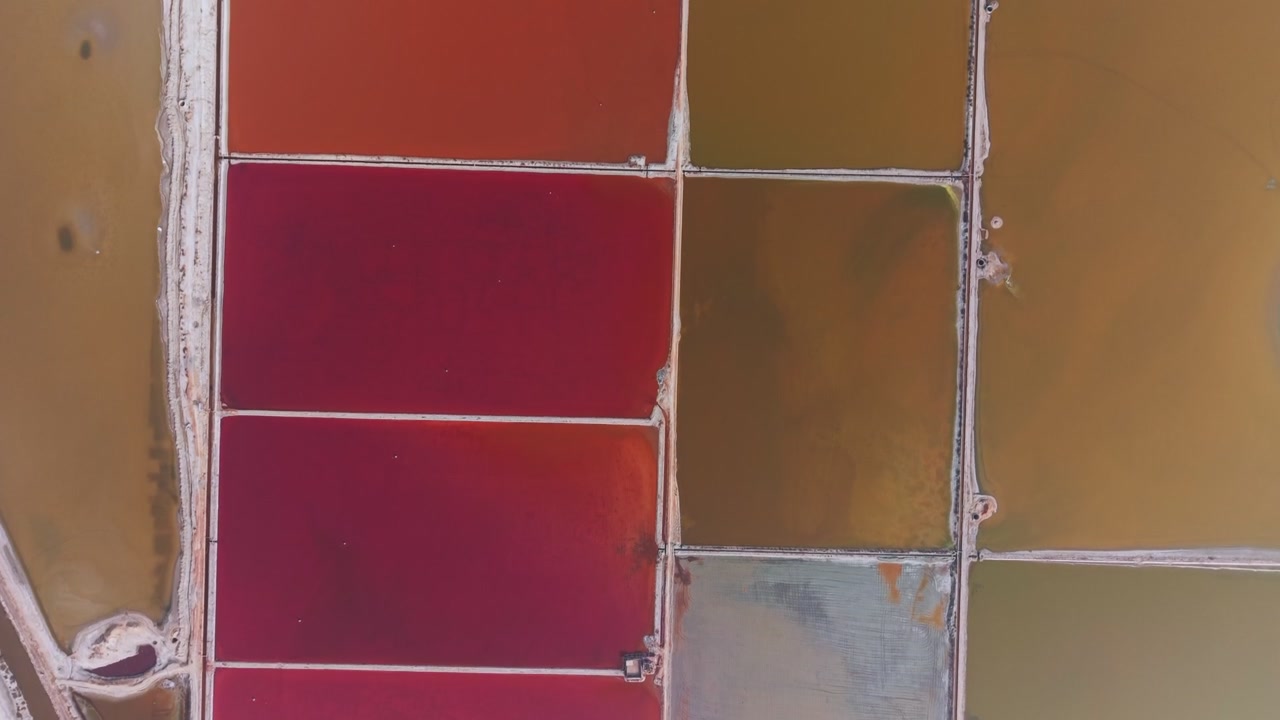 Colorate vasche di evaporazione al lago salato di Sambhar mostrano tonalità rosse, rosa e marroni separate da barriere di sale bianche. Il motivo a griglia geometrica mostra il processo di produzione del sale in Rajasthan, India.