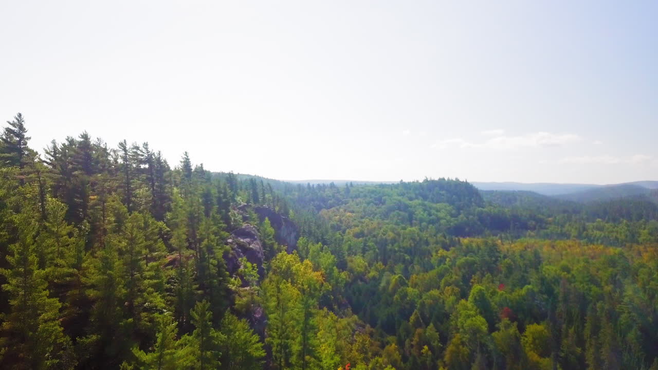 Gorgeous 4K aerial shot of a forest and rocky cliffs on a beautiful sunny day