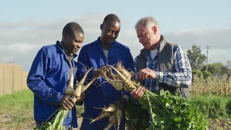 Men-working-on-farm