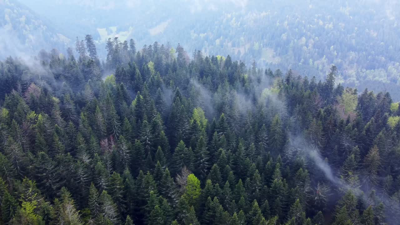 vista aérea del bosque oscuro sobre una montaña con nubes blancas malhumoradas en vosges, francia 4k