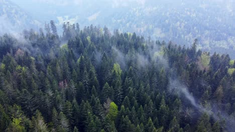 Aerial-view-of-dark-forest-over-a-mountain-with-moody-white-clouds-in-Vosges,-France-4K