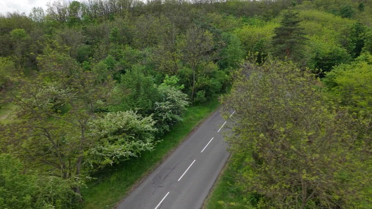 Una vista aerea cattura una tranquilla strada asfaltata che attraversa una foresta verde vibrante durante la stagione primaverile nella natura.