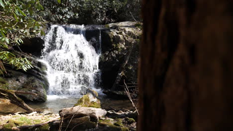 Toma-Amplia-De-Cascada-En-Cámara-Lenta-Con-Un-árbol-En-Primer-Plano,-Filmada-A-180-Fotogramas-Por-Segundo