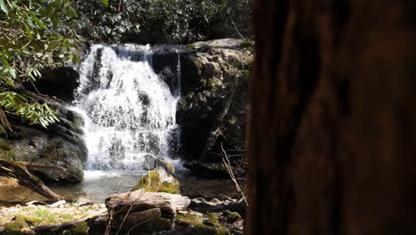 toma amplia de cascada en cámara lenta con un árbol en primer plano, filmada a 180 fotogramas por segundo