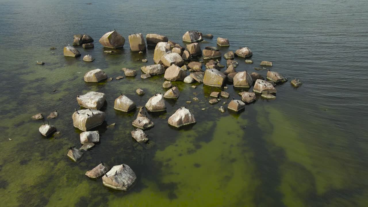 Aerial drone footage flying closer to Cormorants sitting on large boulders or rocks in shallow ocean sea water that has sand patches visible under summer sunlight. Sea is green, horizon visible