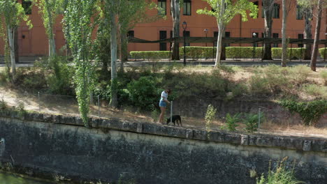 dog walking along the river banks near lago de bolarque