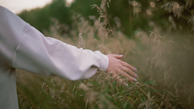 Elegant hand of lady gently touching golden grains in a lush field, creating a serene and peaceful moment in nature, the soft lighting enhances the warm and calming atmosphere of the rural landscape