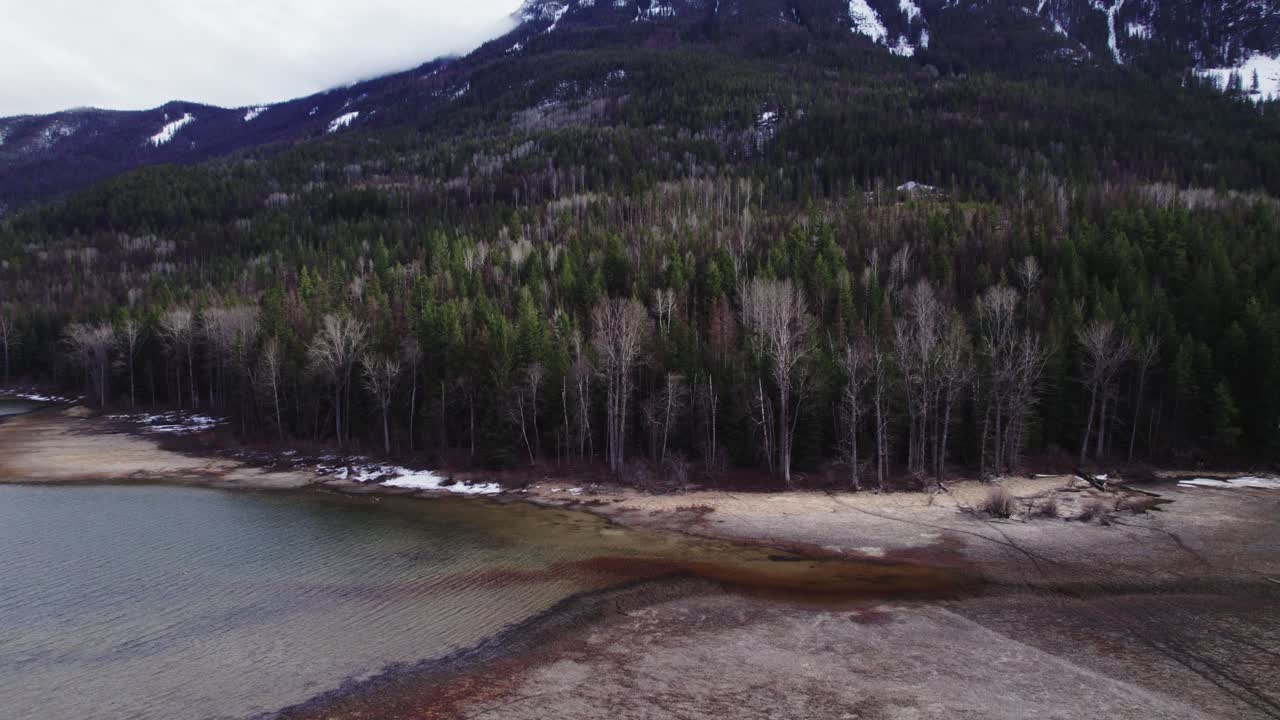 bosque de pinos, montañas nevadas, lago, durante la tarde en st