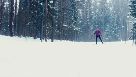 tracking young adult caucasian female athlete practicing cross-country skiing on a scenic forest trail. 4k uhd 60 fps slo mo