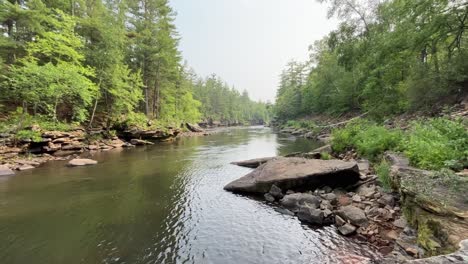 landscape of calm lake in the forest