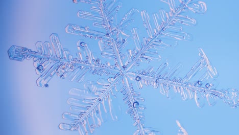 snowflake close up under microscope panning view blue background fine details