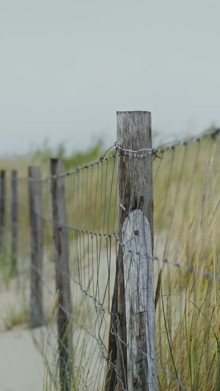 A wooden fence in a grassy dune landscape