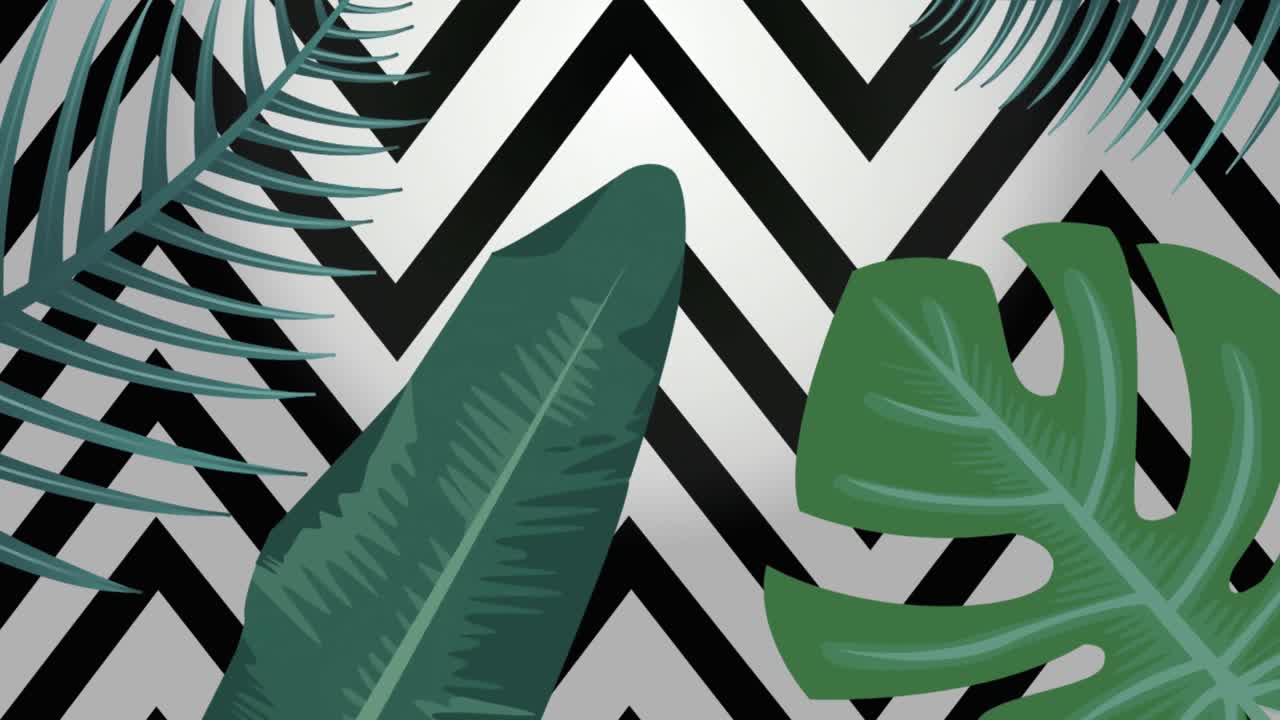 animación de hojas de plantas tropicales sobre un fondo blanco y negro