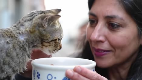 a heartwarming moment of connection: a woman gently interacts with a stray cat while offering food from a bowl, highlighting compassion and care.