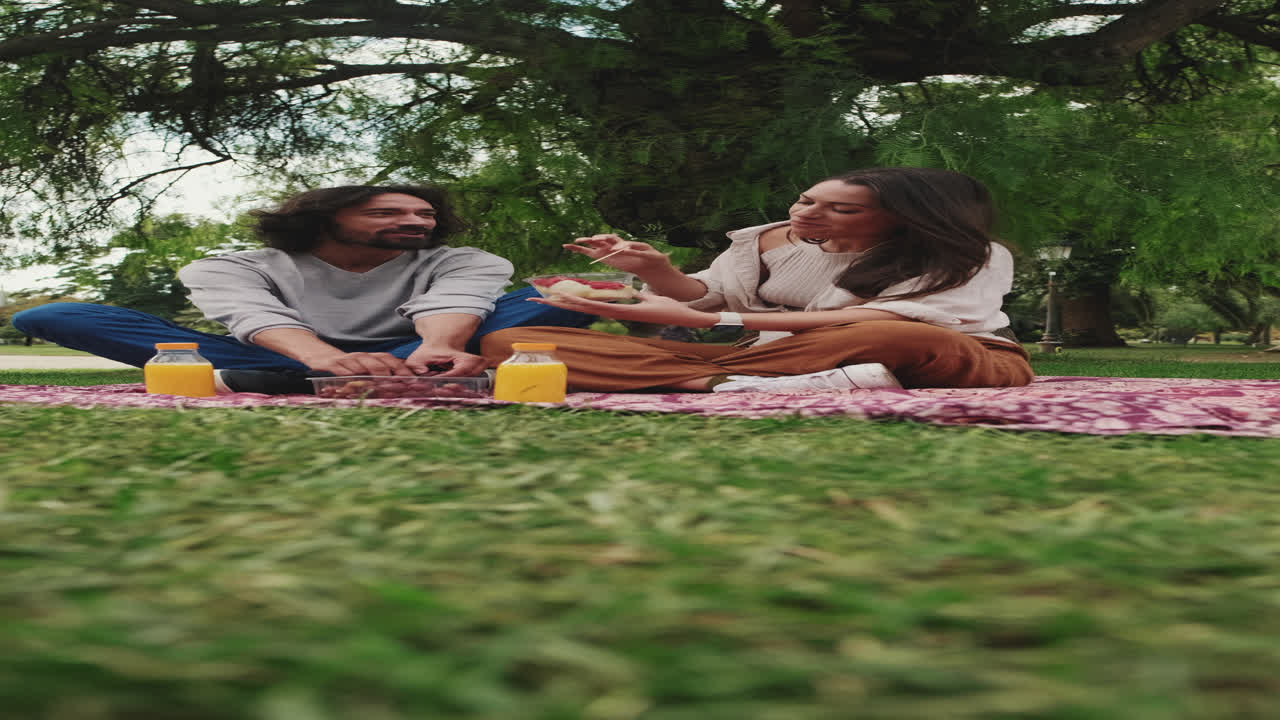 Coppie che godono di un picnic nel parco