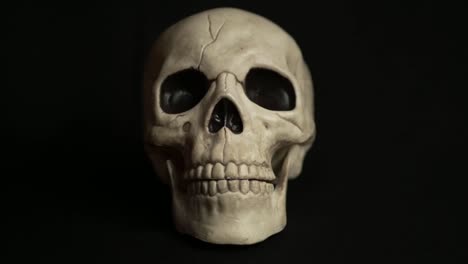 Stop-motion-human-skull-gnashing-teeth-on-black-background-medium-shot