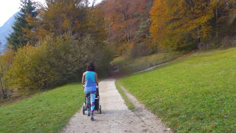 Junge-Mutter,-Die-Einen-Kinderwagen-Auf-Einem-Feldweg-Am-Bohinj-See,-Slowenien,-Schiebt