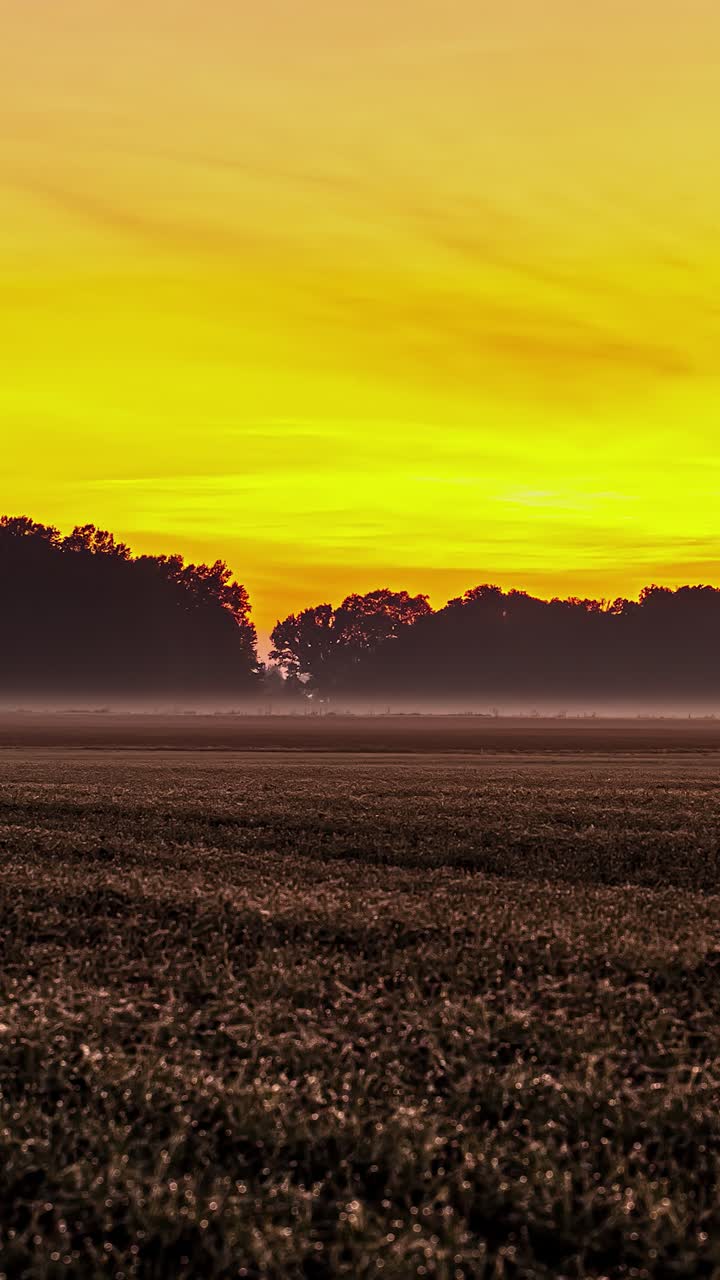 Timelapse Sunset In The Field - Sky With Orange Clouds - Vertical Shot