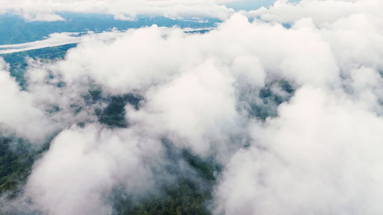 Drone view of a white sea of clouds blanketing a lush tropical rainforest. A mysterious cloud inversion phenomenon over the green mountains of Marilog District, Davao, during a misty morning