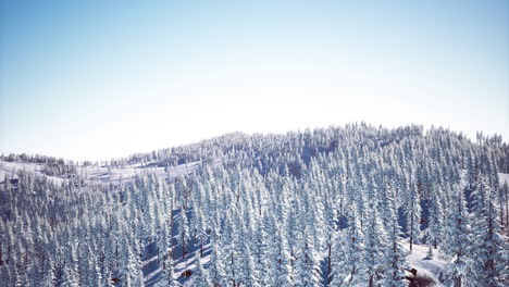 winter wonderland landscape stretches across a serene mountain valley