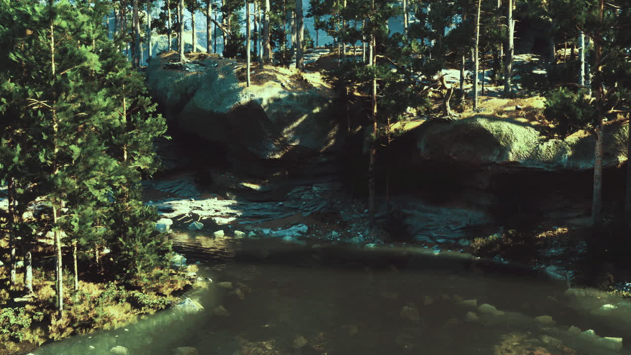 Peaceful forest landscape with a secluded pond surrounded by trees