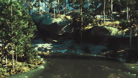 peaceful forest landscape with a secluded pond surrounded by trees