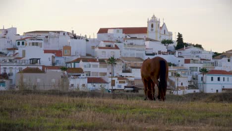 ferragudo riverside village landscape with a horse grazing by the morning daylight, portugal