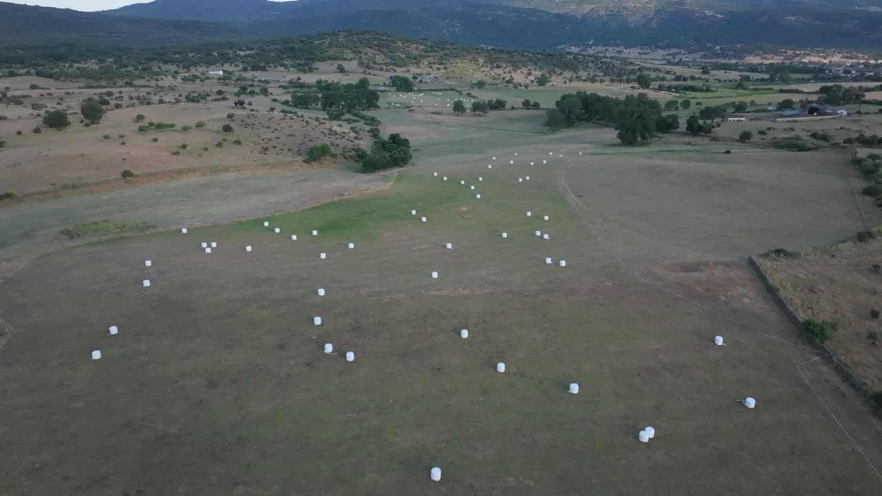 vuelo con un dron en algunos campos de cultivo donde se han recogido y tirado balas de paja envueltas en plástico blanco, vemos algunos tonos verdes en los prados